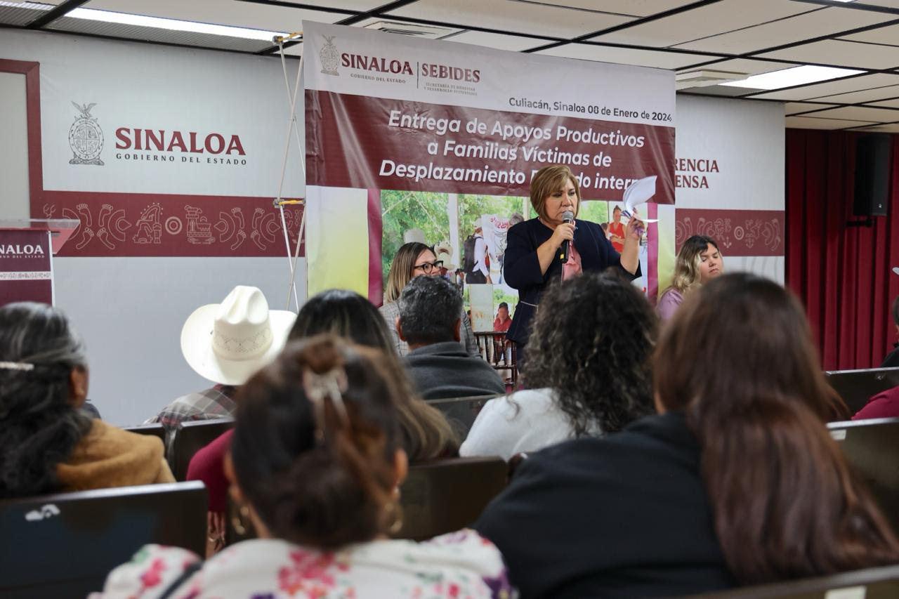 Fue la Secretaria María Inés Pérez Corral quien explicó que este gasto viene del Fondo Especial para la Atención y Protección de Personas Desplazadas y se emitió después de que la convocatoria recibió más de 300 solicitudes de proyectos básicos para que estas familias saquen el sustento de cada día.