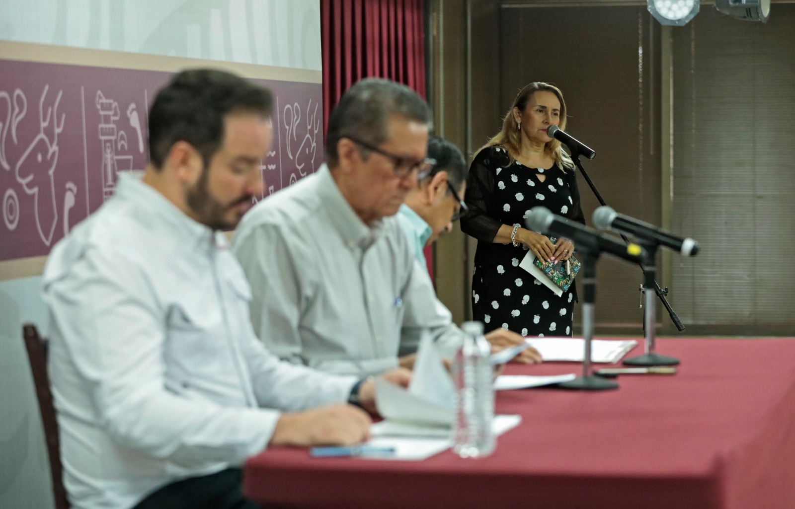 Castro Meléndrez